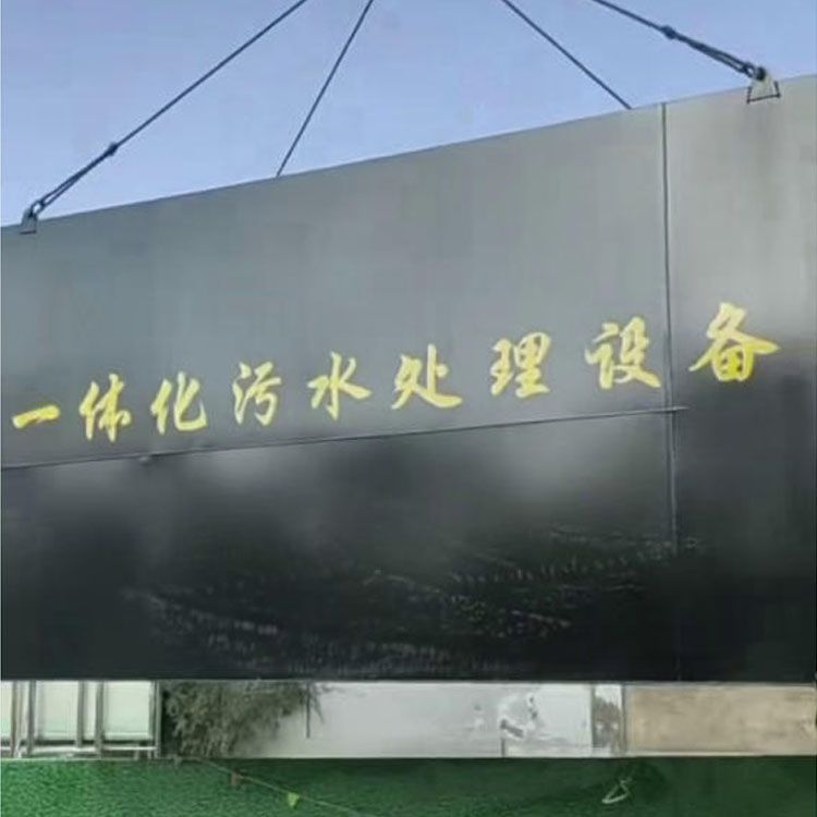 青海省海東市樂都區(qū)洪水鎮(zhèn)衛(wèi)生院6-2.5-3米一體化污水處理設(shè)備到貨吊裝就位